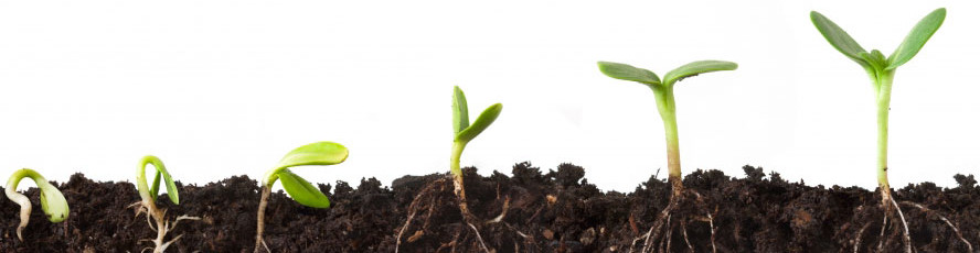 Growing Your Business: It’s Easier Than You Think