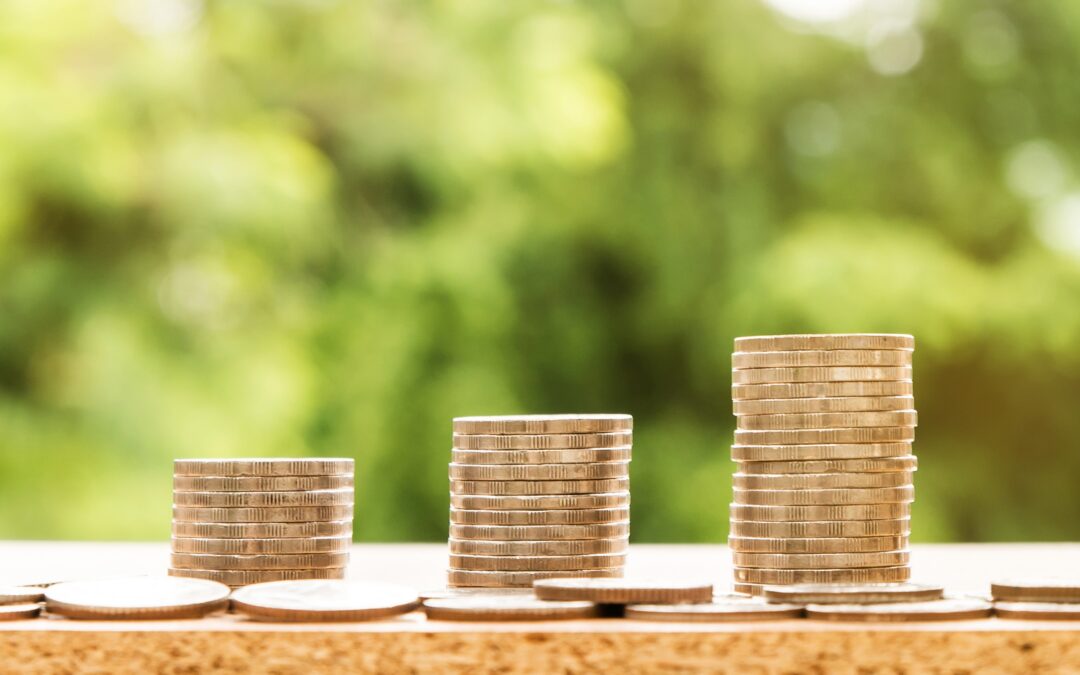 Share Issues For SEIS/EIS Tax Relief