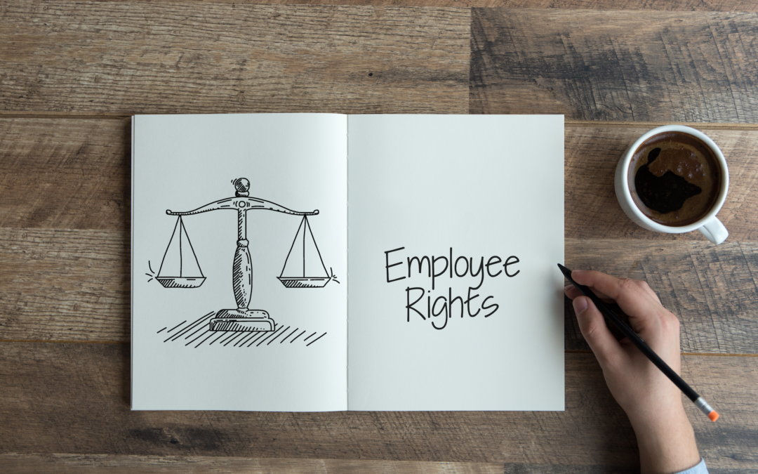 New Employment Rights Bill puts focus on rights during early months of a job
